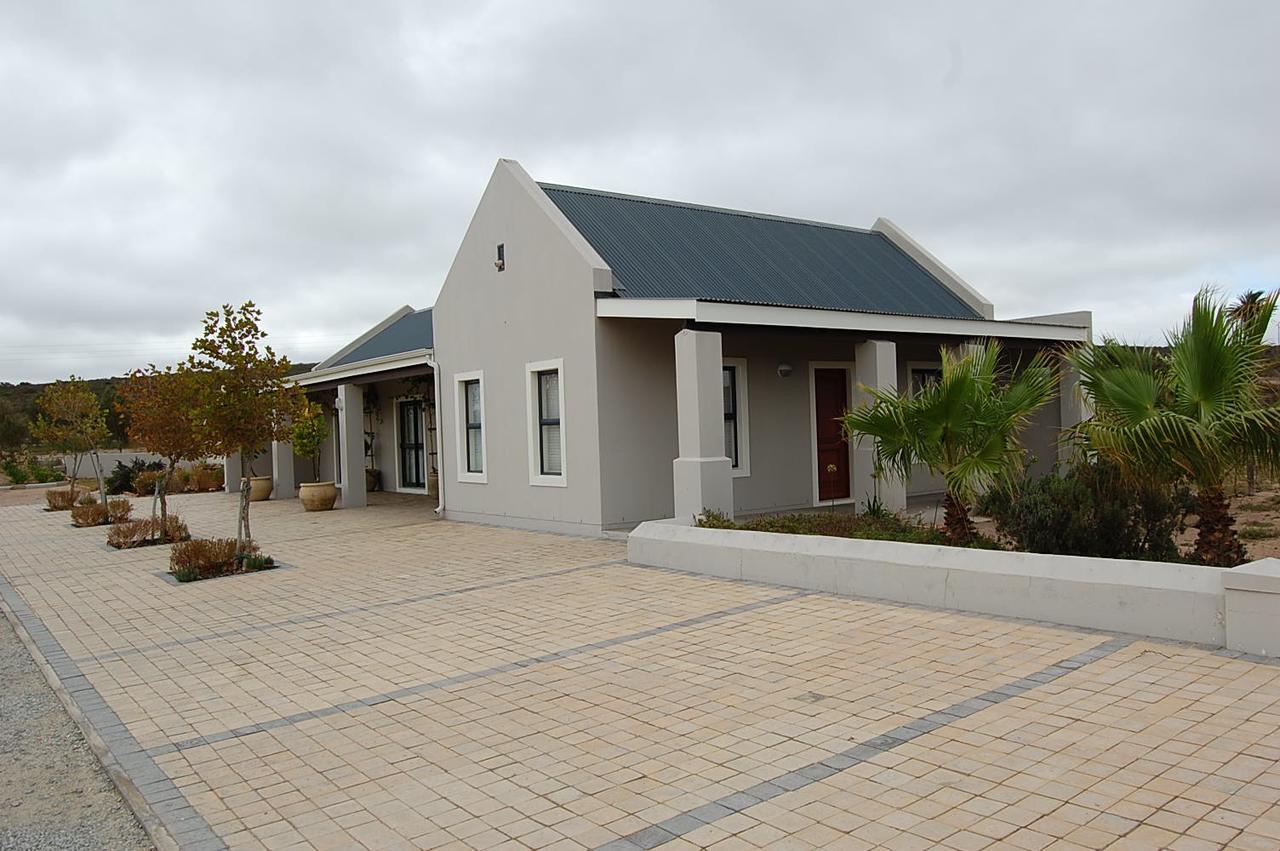 Affittacamere Longacre Olive & Vineyard Estate Langebaan Esterno foto