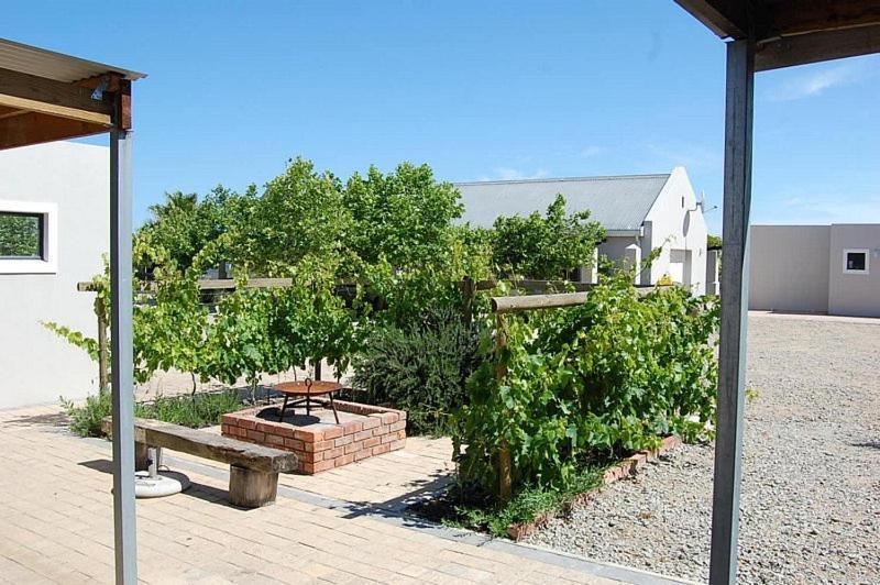 Affittacamere Longacre Olive & Vineyard Estate Langebaan Esterno foto