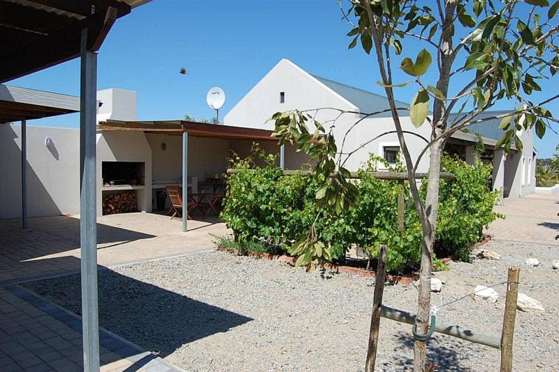 Affittacamere Longacre Olive & Vineyard Estate Langebaan Esterno foto