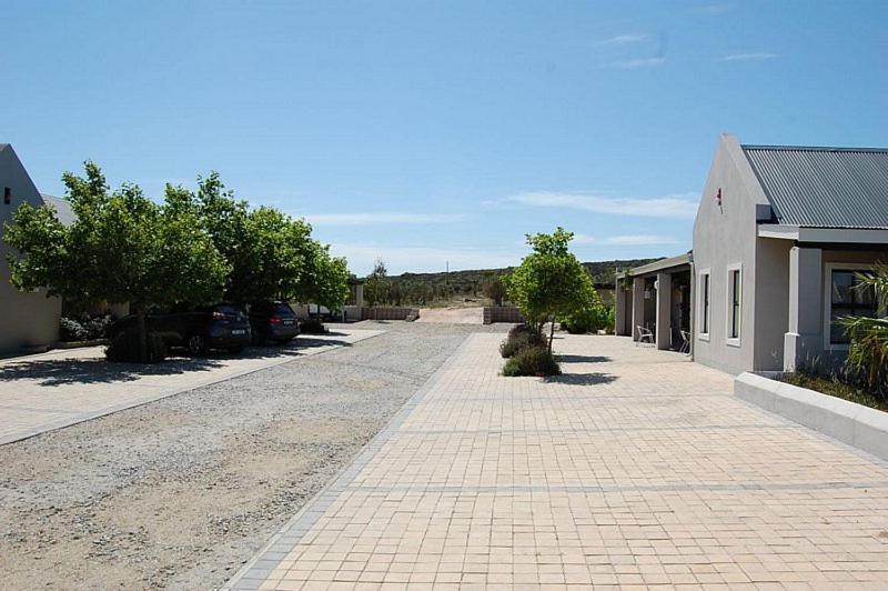 Affittacamere Longacre Olive & Vineyard Estate Langebaan Esterno foto