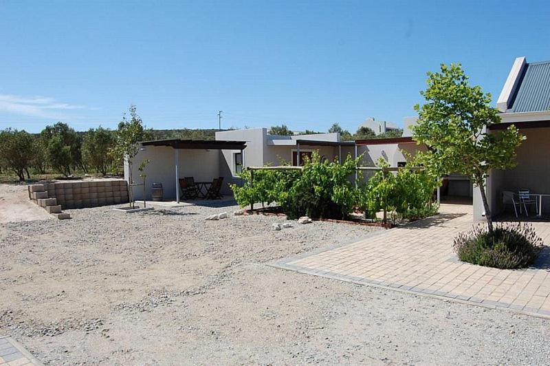 Affittacamere Longacre Olive & Vineyard Estate Langebaan Esterno foto